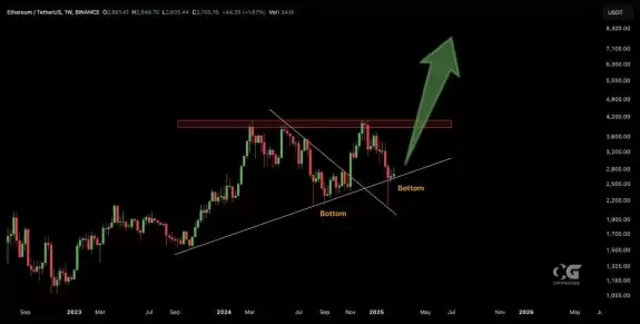 CryptoGoos