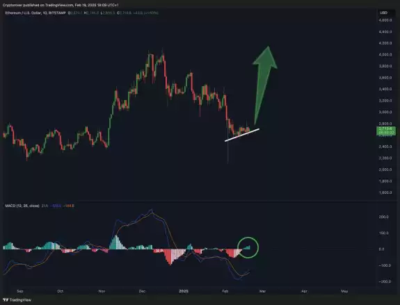 Crypto Rover