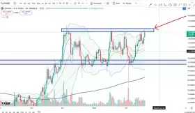 Cheds Trading