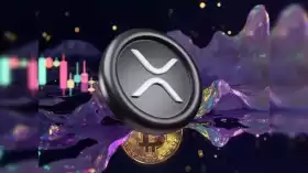 Ash Crypto