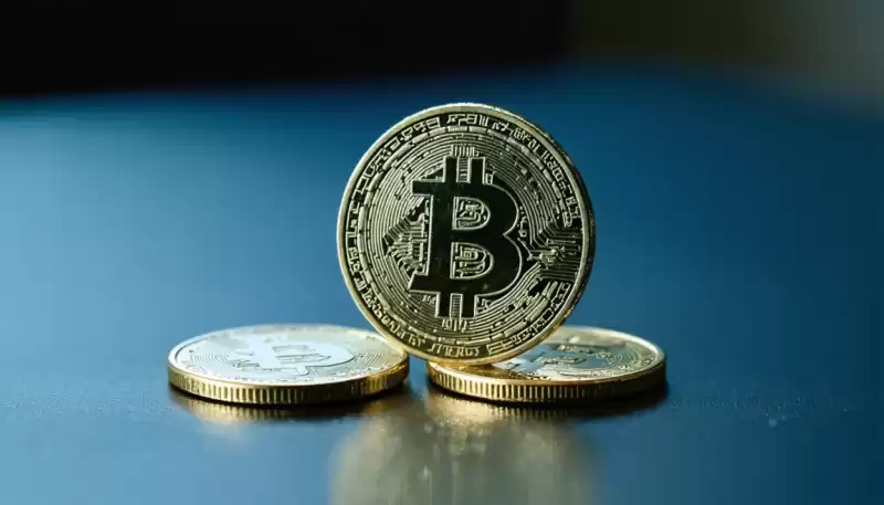 PI Network Coin令人震驚的首次亮相以及您需要知道的! PI Network Coin令人震驚的首次亮相以及您需要知道的!