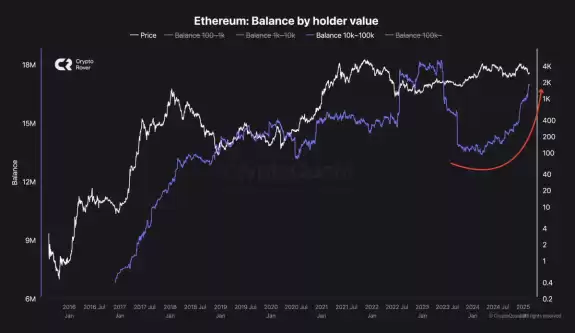 Crypto Rover