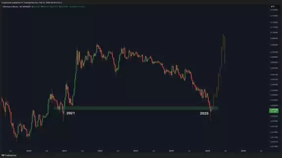 Crypto Rover