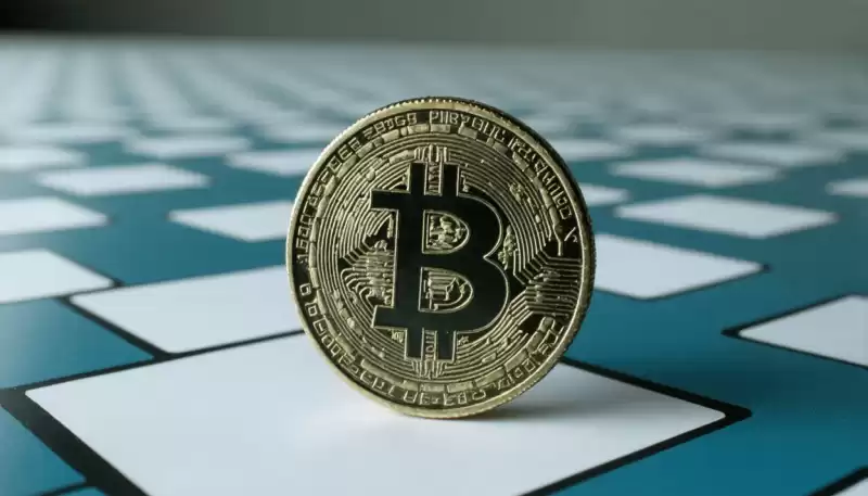 PI 네트워크의 여정을 풀기 : 신화, 사실 및 미래 방향 PI 네트워크의 여정을 풀기 : 신화, 사실 및 미래 방향