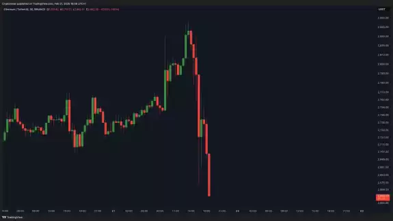 Crypto Rover