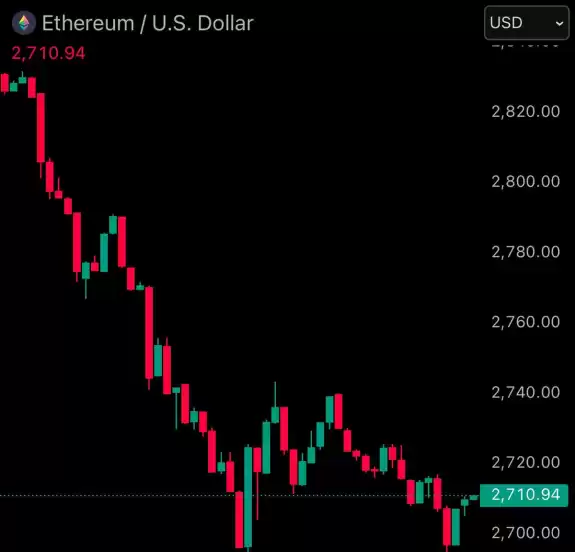 Bitbull