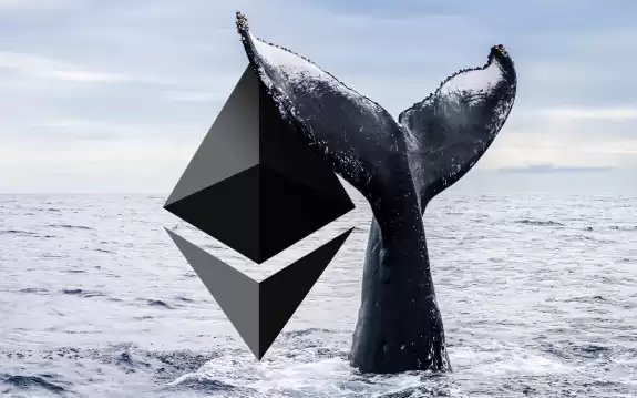 Crypto Rover
