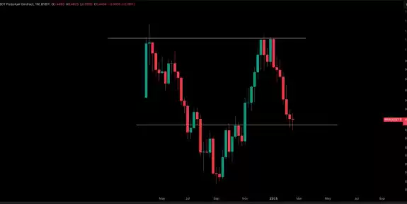 Crypto Tony