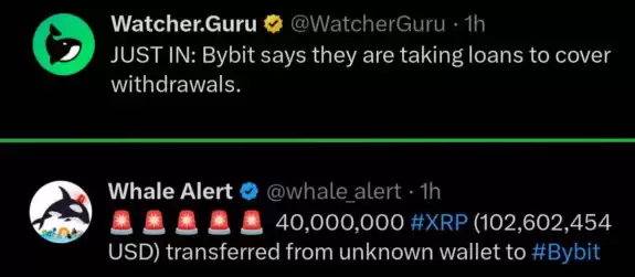 XRPcryptowolf