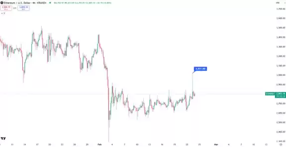 Bitbull