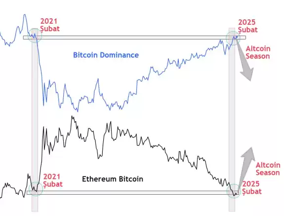 Cryptosahintas