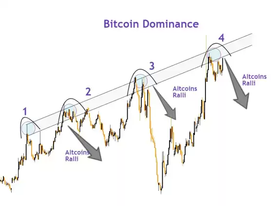 Cryptosahintas