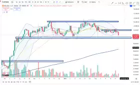 Cheds Trading