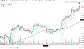 Cheds Trading