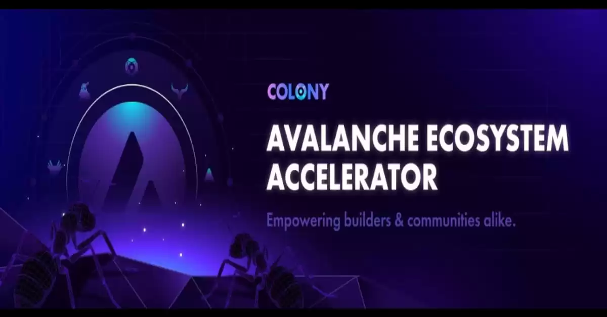 Why is the Avalanche environment so exciting right now? With their distinct contributions, Arena Token, Stargate Token, and Colony Token are creating a stir.