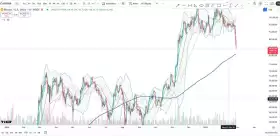 Cheds Trading