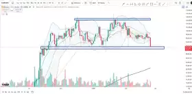 Cheds Trading