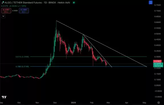 CryptoBusy