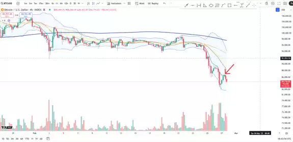 Cheds Trading