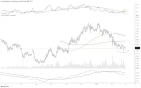 CRYPTO₿IRB