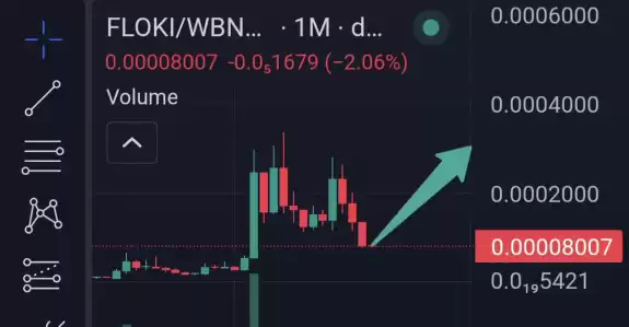 BITCOINLFG®
