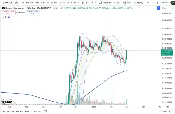 Cheds Trading