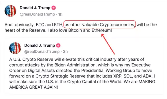 حوت العملات الرقمية official