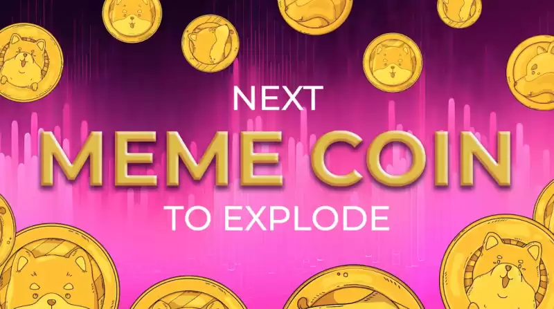 폭발 할 다음 밈 동전은 단지 과대 광고가 아닙니다. 올바른 강아지를 고르는 것입니다