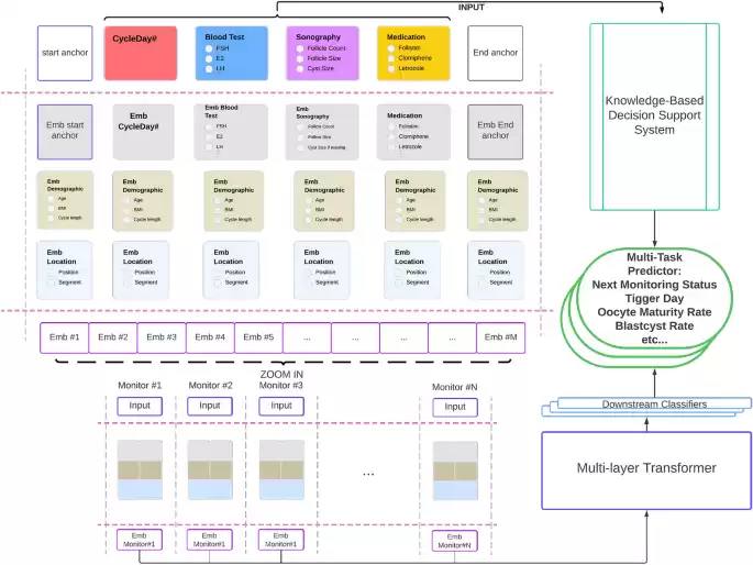 Multi-layer Transformer Encoder for Learning Representations of Key Elements in IVF Process