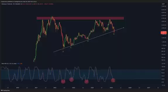 Crypto Rover