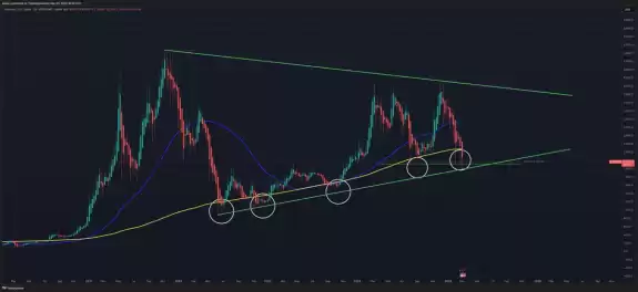 The Long Investor