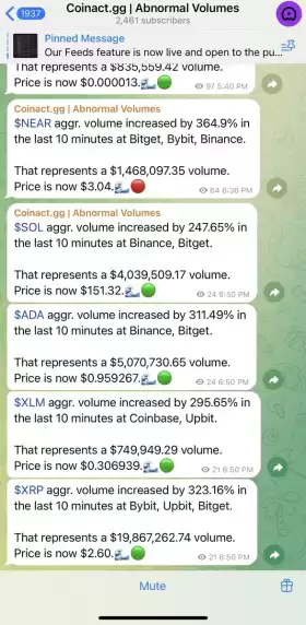 Crypto Cowboy