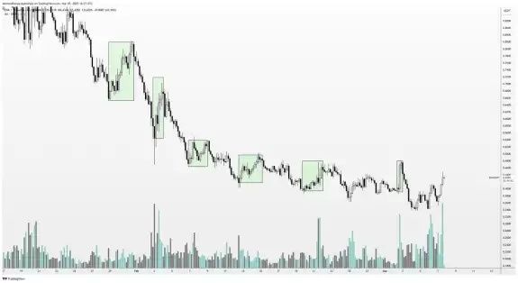 Altcoin Sherpa