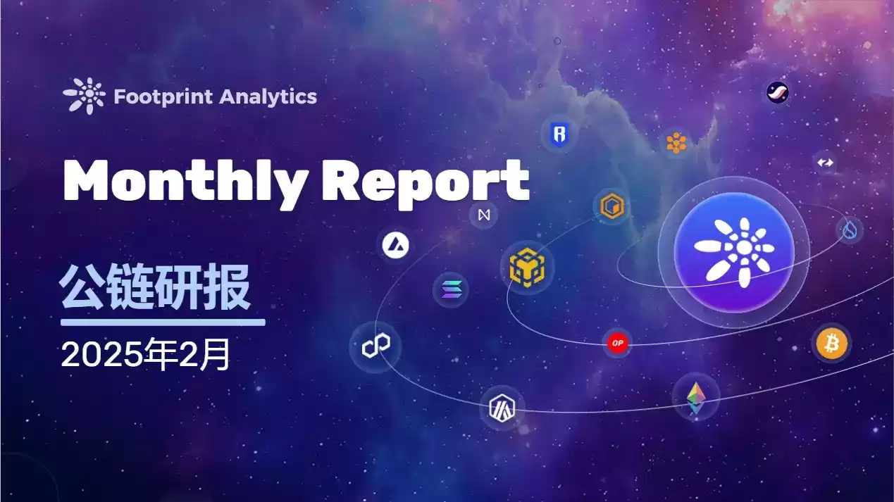 February 2025 Public Chain Research Report