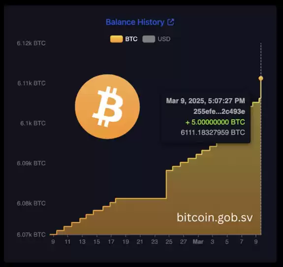 Bitcoin Archive