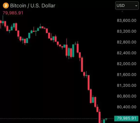 Mr. Crypto Whale🐋