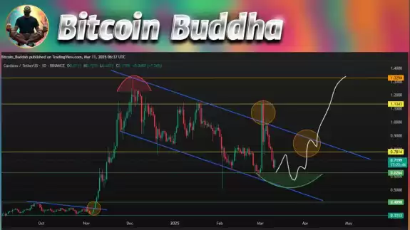 Bitcoin Buddha