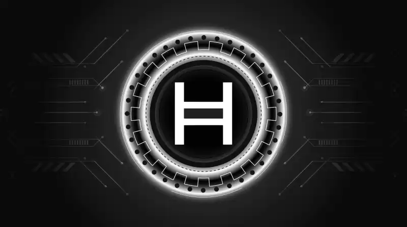 NASDAQ에서 HEDERA (HBAR) ETF 제품 목록을위한 그레이 스케일 파일