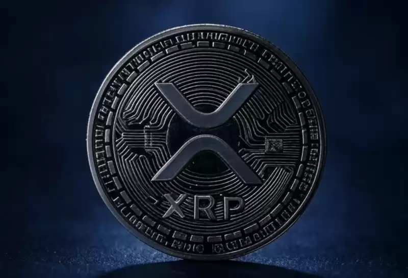 最好的XRP分類帳（XRPL）模因硬幣將於2025年3月購買