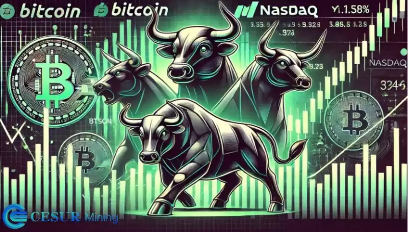 Cesur Mining은 2025 년 최고의 무료 클라우드 마이닝 플랫폼입니다.
