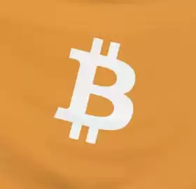 The Bitcoin Historian