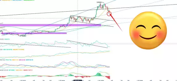 皮皮虾Trader