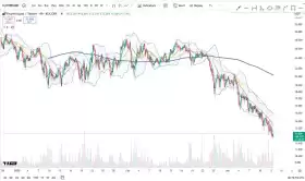 Cheds Trading