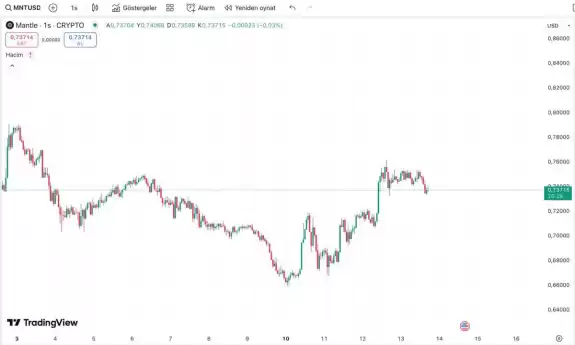 Crypto Zoro