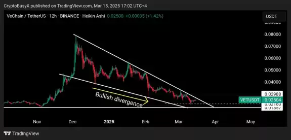 CryptoBusy