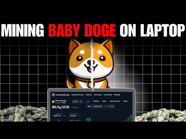J'ai essayé d'extraire bébé doge sur mon ordinateur portable