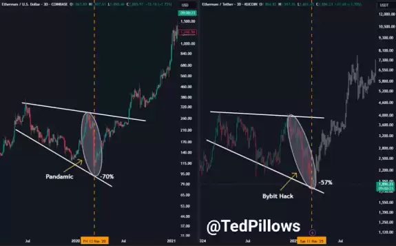 Ted