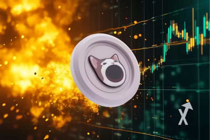 Is POPCAT Ready to Explode ?
