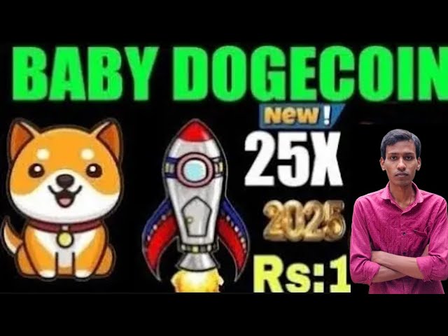 婴儿狗币硬币€1 |燃烧| Babydoge硬币价格泵| Binance清单