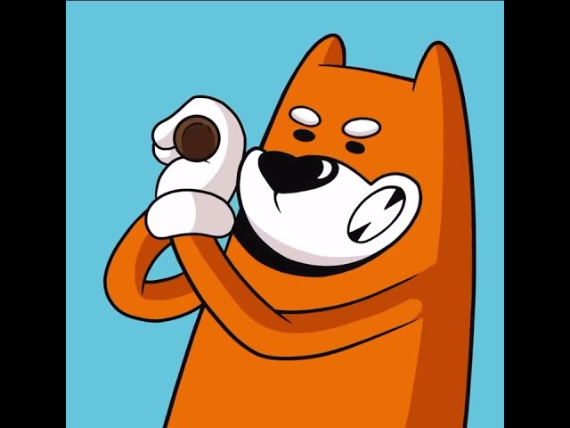 ACHETEZ BONK COIN AVANT IS TO TARD!